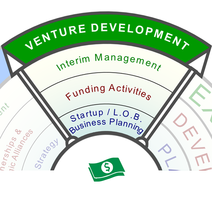 Venture Development Services: Business model development, planning, fundraising and interim management